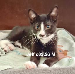 Foster Jeff image 1