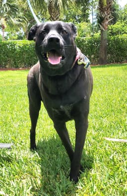 Coby image 3