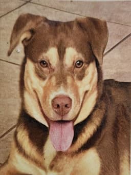 Trixie image 1