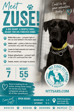 Zuse image 2