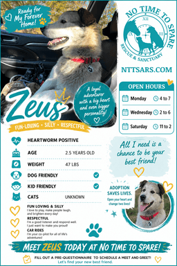 Zeus image 1