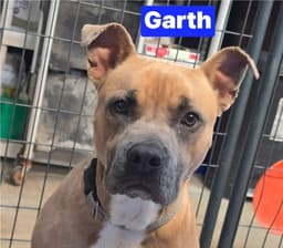 Garth image 2