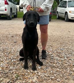 Buster image 1