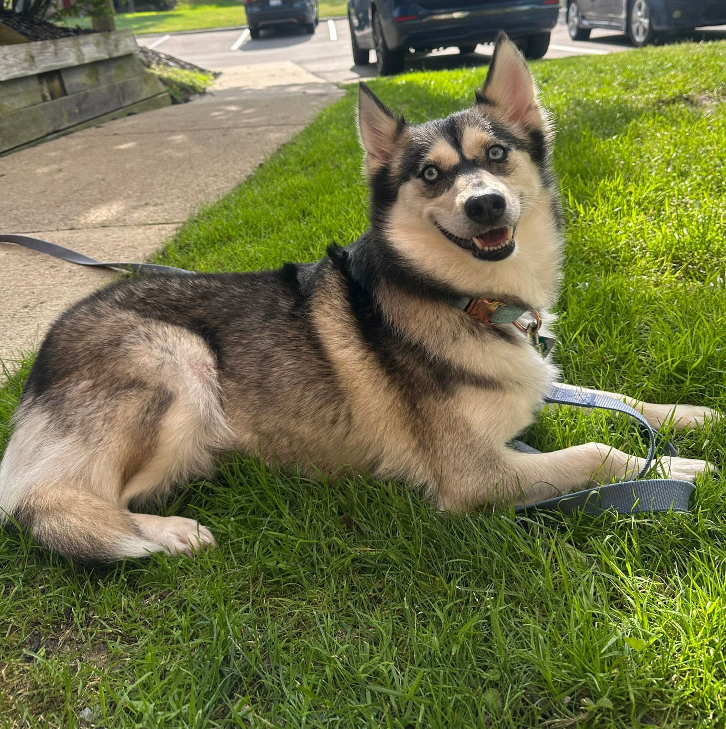 Nova