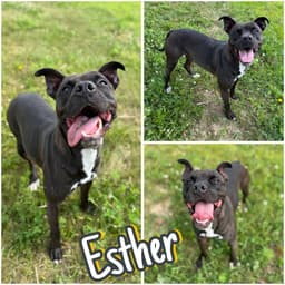 Esther image 1