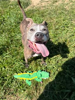 Zora - Fee Waived - Long Term Resident image 3