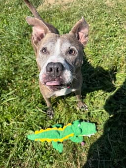Zora - Fee Waived - Long Term Resident image 4