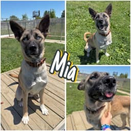 Mia image 1