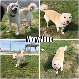 Mary Jane image 1