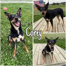 Corey image 1