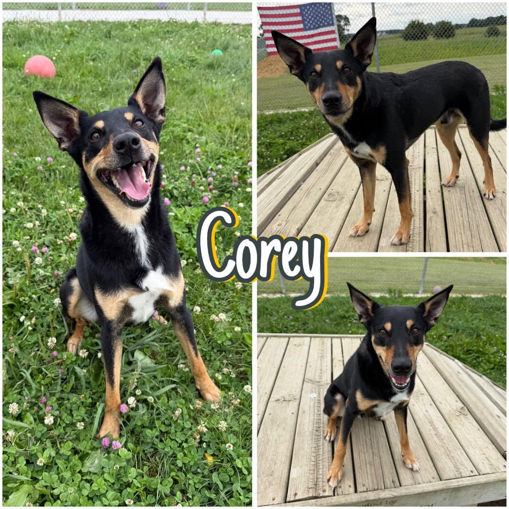 Corey