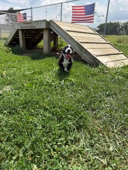 Colby image 4