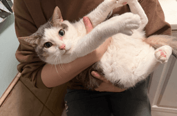 Mama image 4