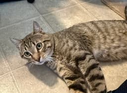 Skeeter image 1