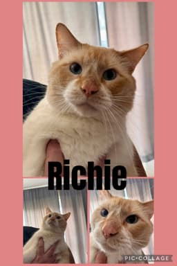 Richie image 1