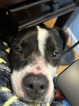 Daisy June image 3