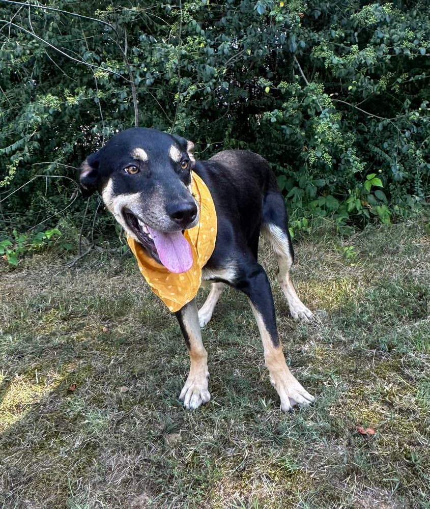 Waylon Outlaw - Unknown