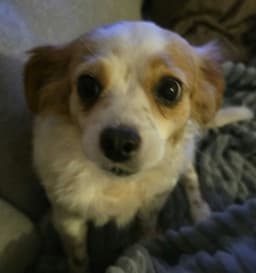 Eloise image 2