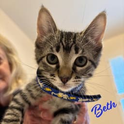 Beth Little-Women-Litter image 1