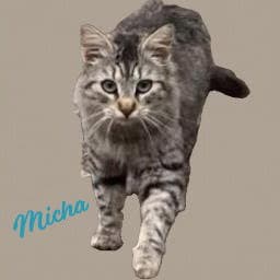 Micha Trusting-Loving image 1