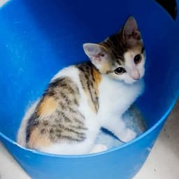 Libby Microwave-Box-Litter image 2