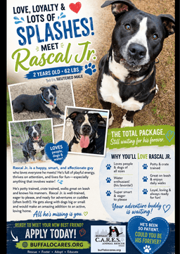 Rascal Jr image 1