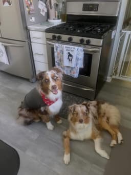 Loki image 2