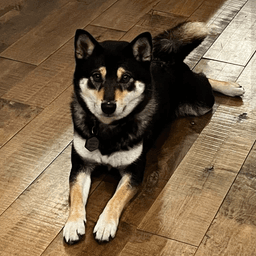 Nami image 4