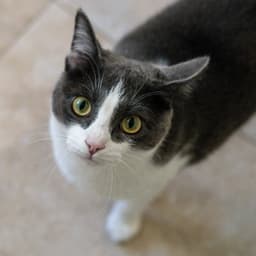 Izzy image 3