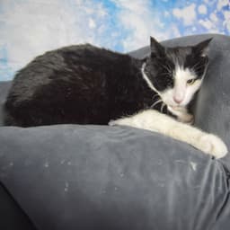 Marvin image 2