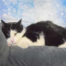 Marvin image 3