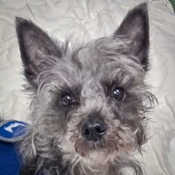 Max image 1