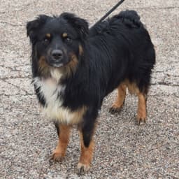 Riley image 2