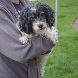 Luna Loo image 3