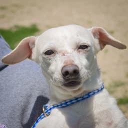 Wally image 3