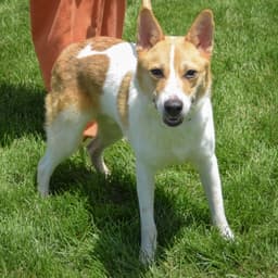 Jacob image 3