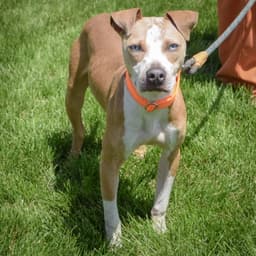 Jimothy image 4