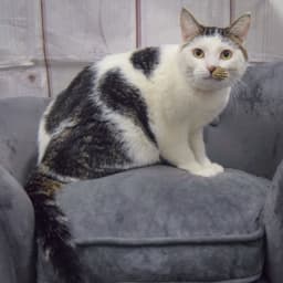 Frannie image 3