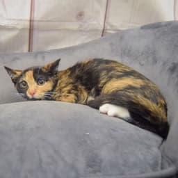 Katie image 2