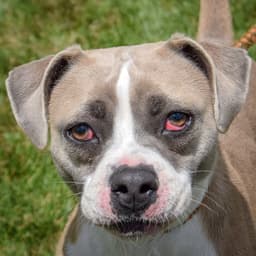 Sam image 1