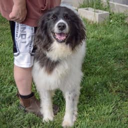 Rupert image 3