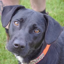 Momma image 1