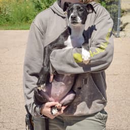 Nikki image 3