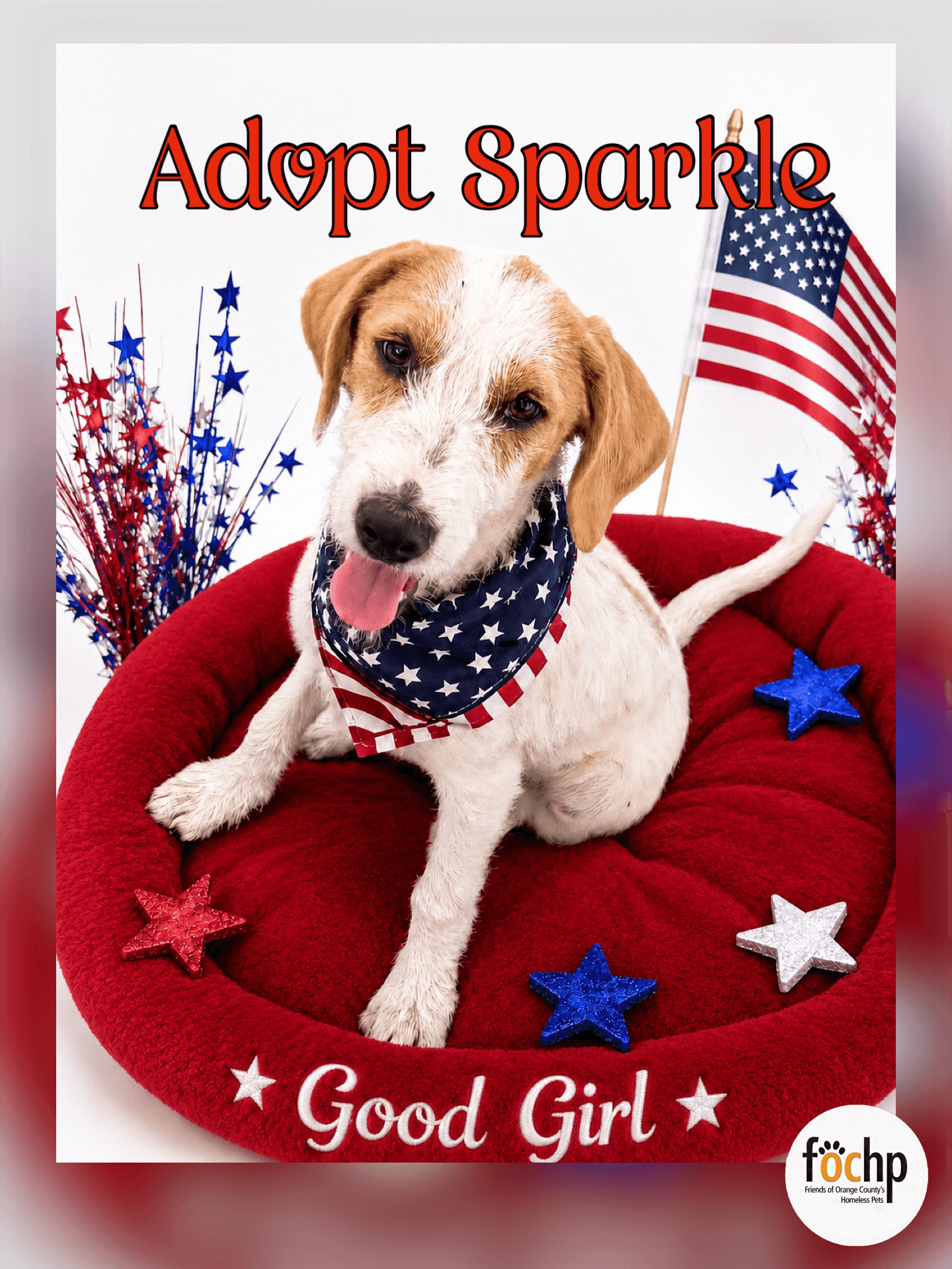 Sparkle - Beagle