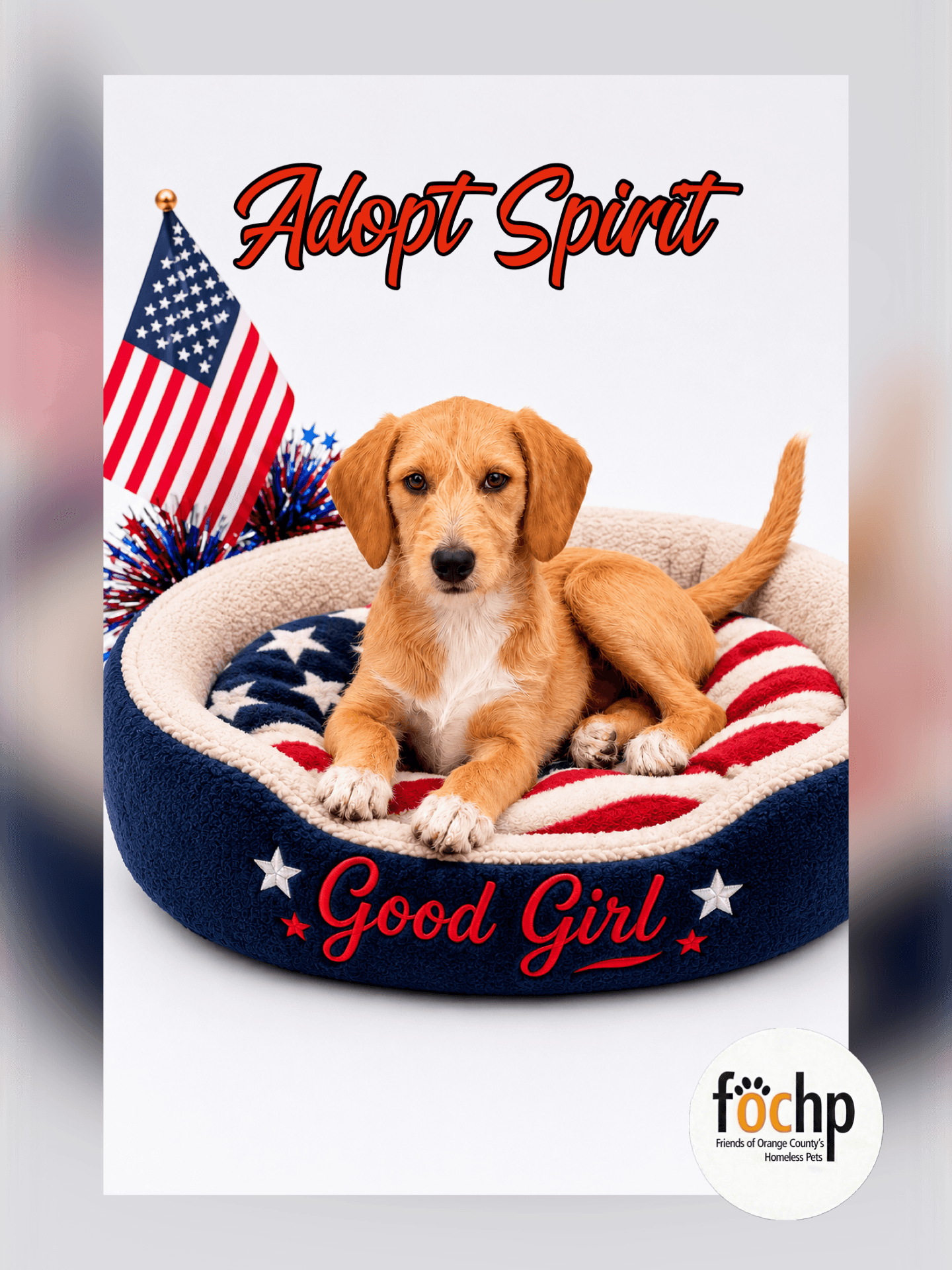 Spirit - Beagle