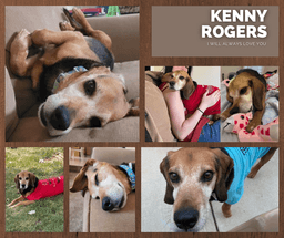Kenny image 1