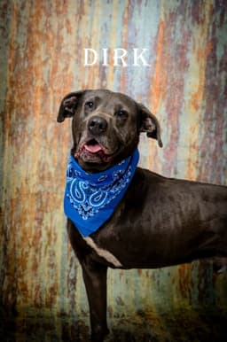 Dirk image 1