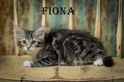 Fiona image 2