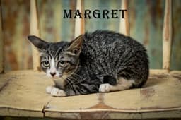 Margaret Keane image 1
