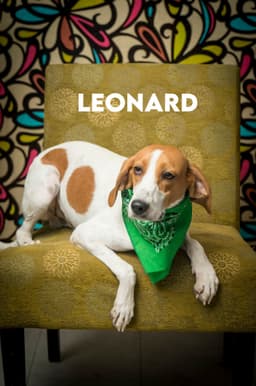 Leonard image 1